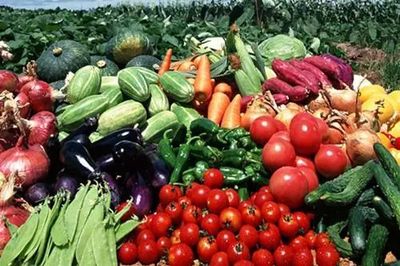 廣東人民最關心的十個食品藥品安全問題，答案都在這里！——聚焦食用農產品